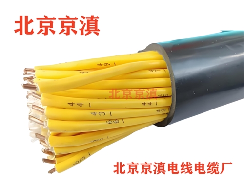 ZRA-KVVP2-22 控制电缆